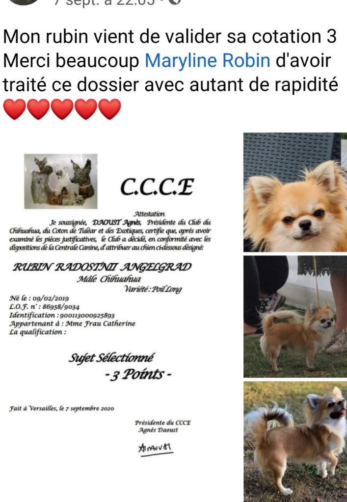 Rubin cotation 3 validée